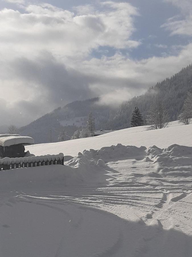 Appartement Freiraum Sankt Martin am Tennengebirge Esterno foto