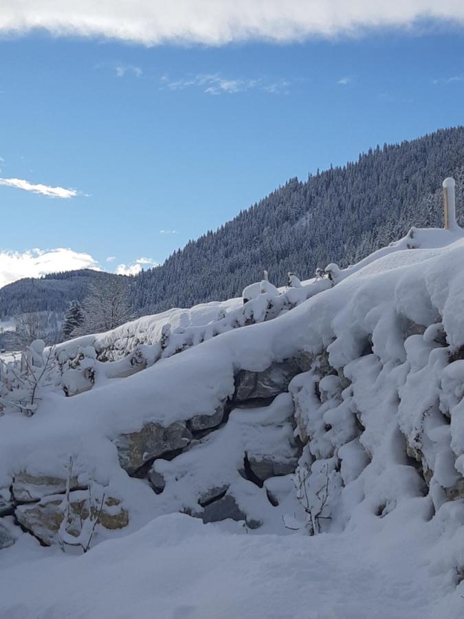 Appartement Freiraum Sankt Martin am Tennengebirge Esterno foto