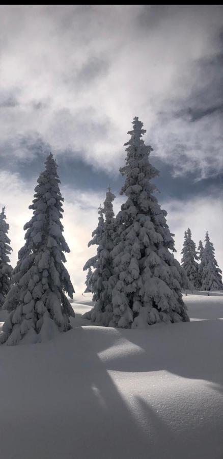 Appartement Freiraum Sankt Martin am Tennengebirge Esterno foto